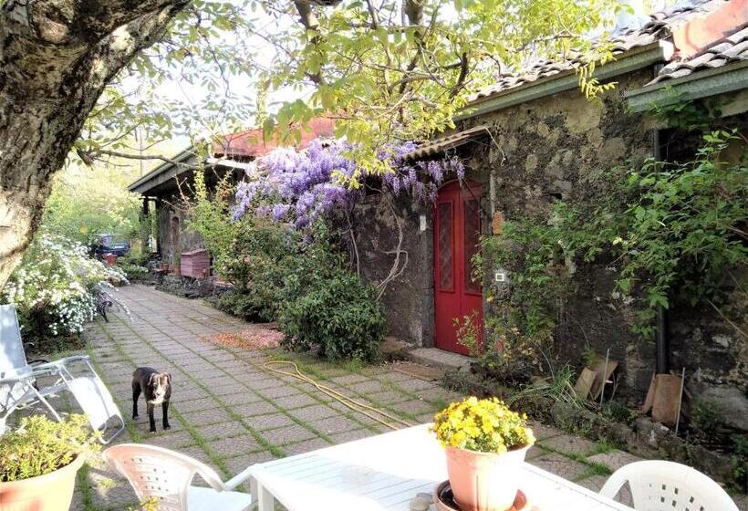 호텔 Cirasellaetna