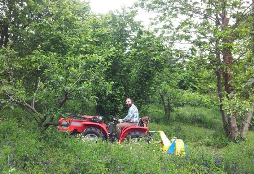 호텔 Cirasellaetna