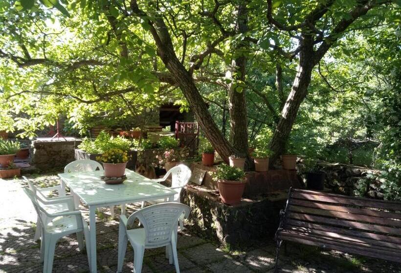 호텔 Cirasellaetna