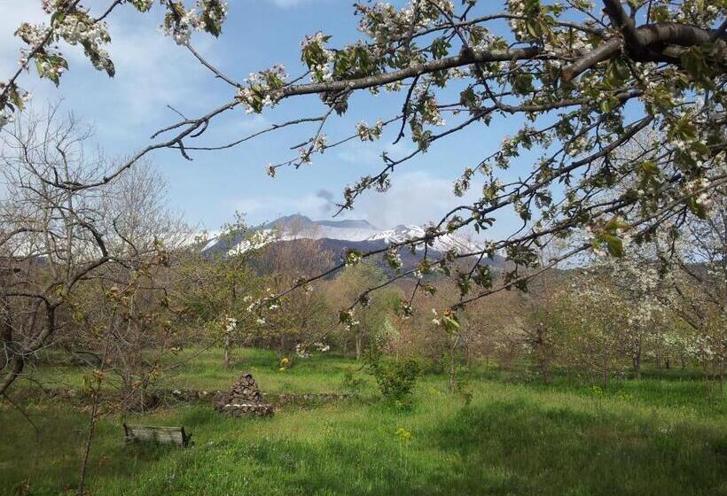 호텔 Cirasellaetna