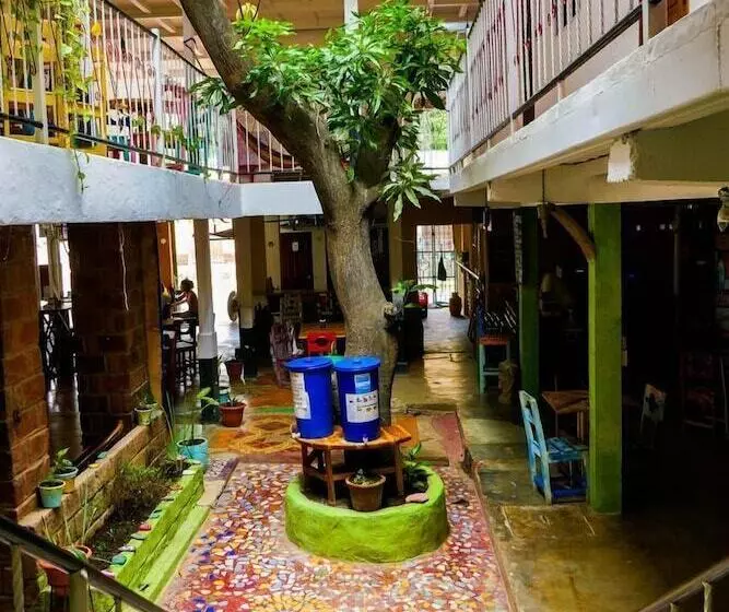 Casa Oro Eco Hostel