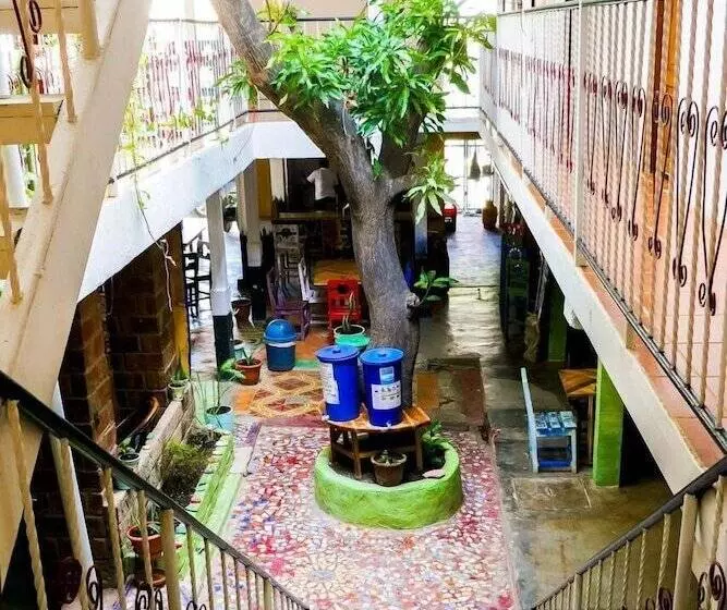 Casa Oro Eco Hostel
