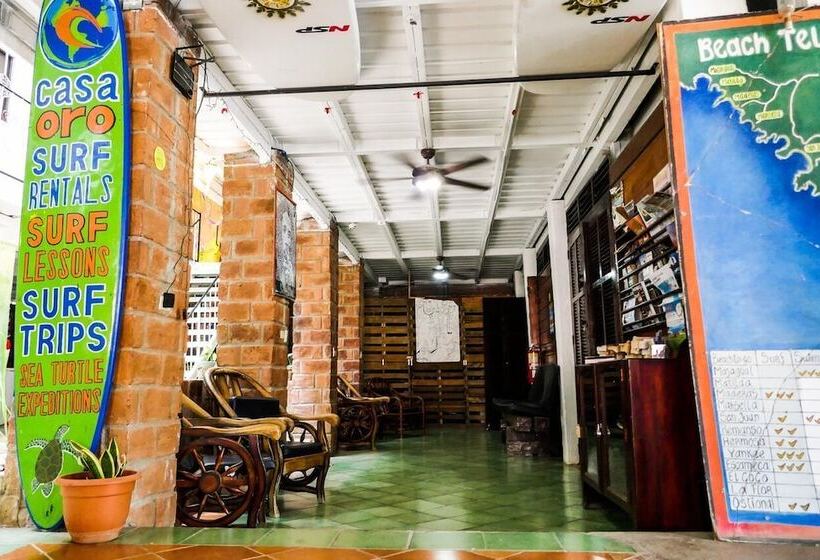 Casa Oro Eco Hostel