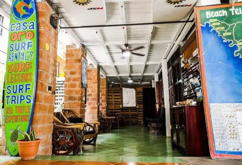 Casa Oro Eco Hostel