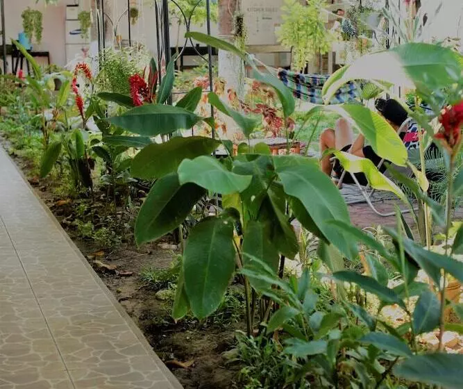 Kitara House Backpackers Hostel