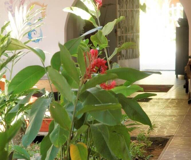 Kitara House Backpackers Hostel