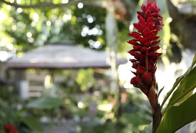 Kitara House Backpackers Hostel