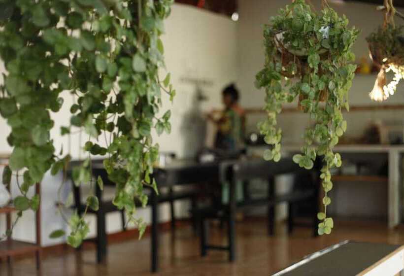 Kitara House Backpackers Hostel