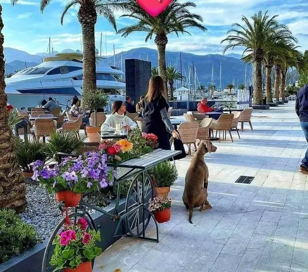 پانسیون Apartmani Bekonja