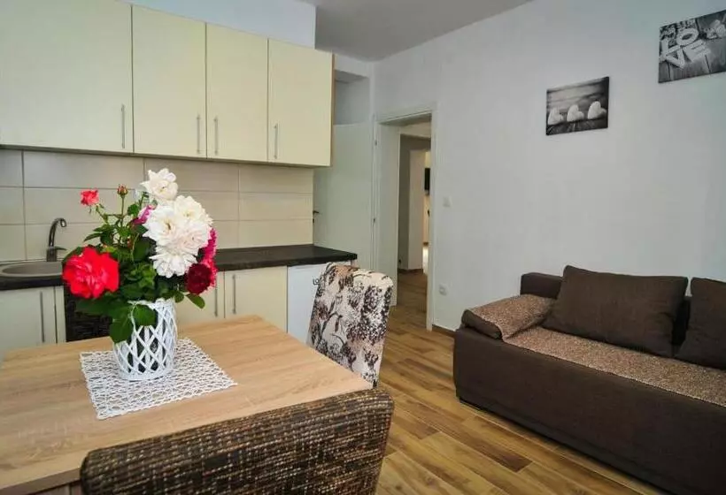 پانسیون Apartmani Bekonja