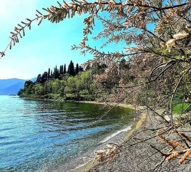 پانسیون Apartmani Bekonja