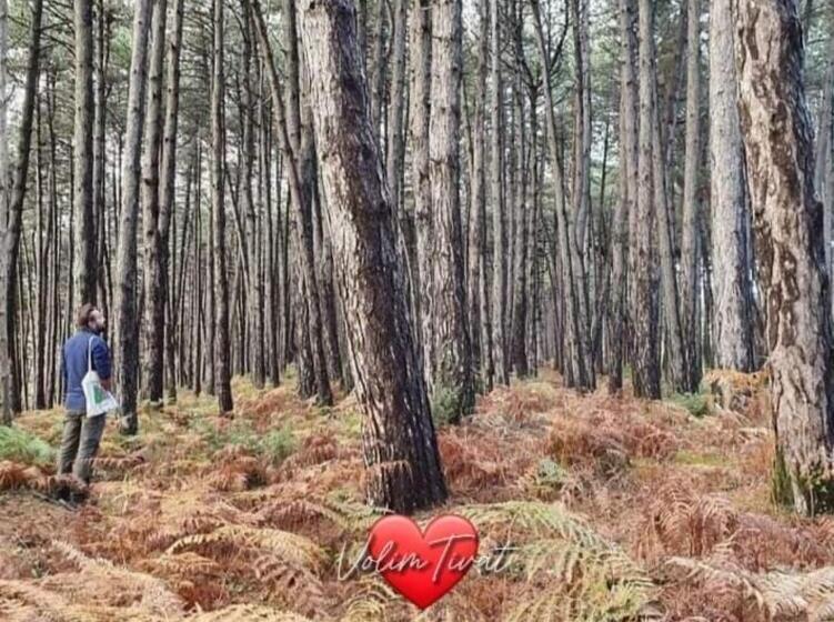 پانسیون Apartmani Bekonja