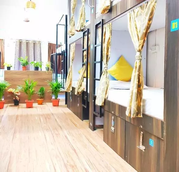 ユースホステル Backpackers Inn