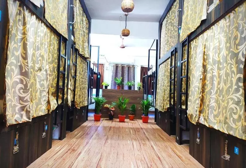 ユースホステル Backpackers Inn