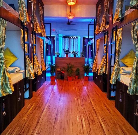 Hostel Backpackers Inn