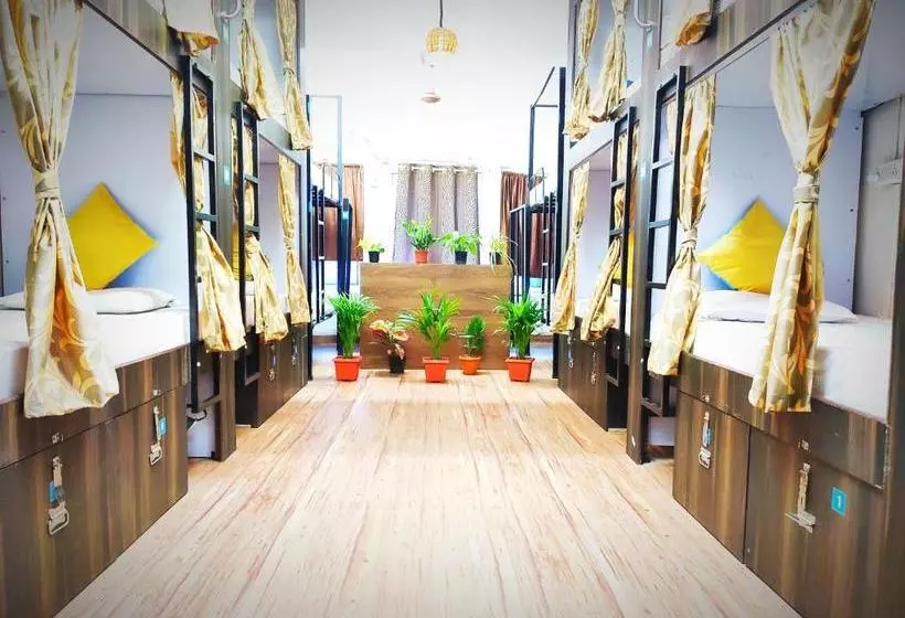 ユースホステル Backpackers Inn