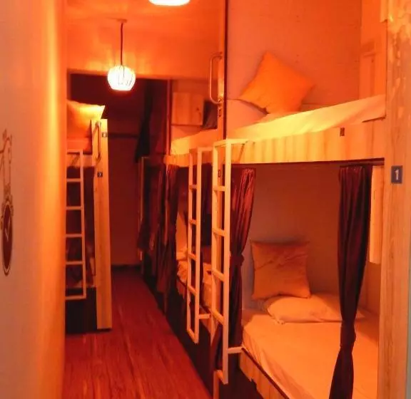 ユースホステル Backpackers Inn