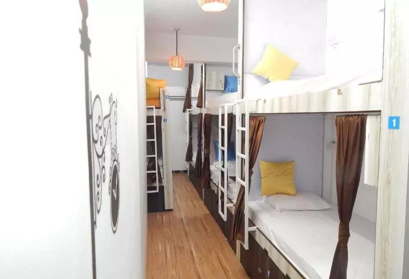 ユースホステル Backpackers Inn