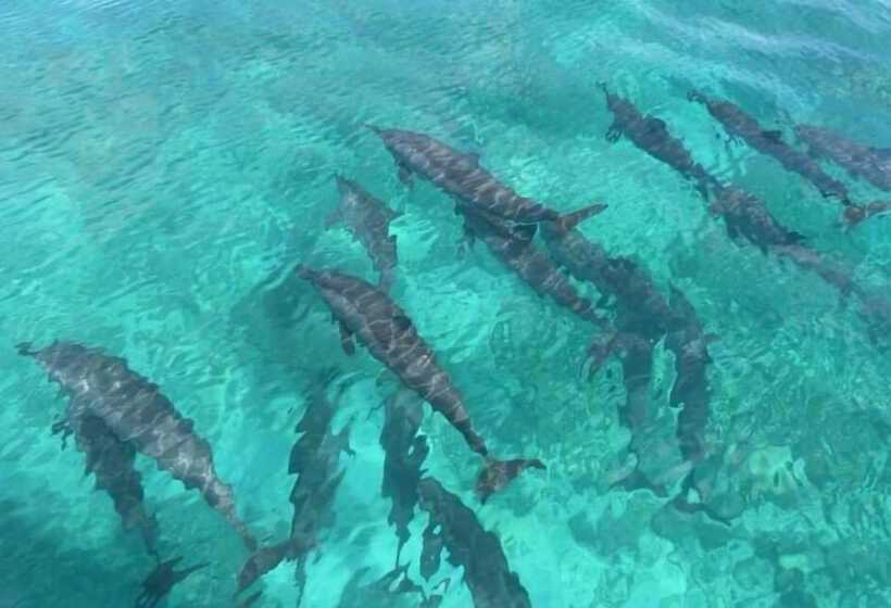 Pension Fanhaa Maldives