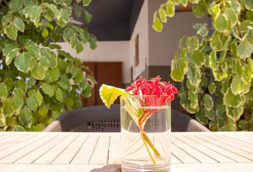 پانسیون Fanhaa Maldives