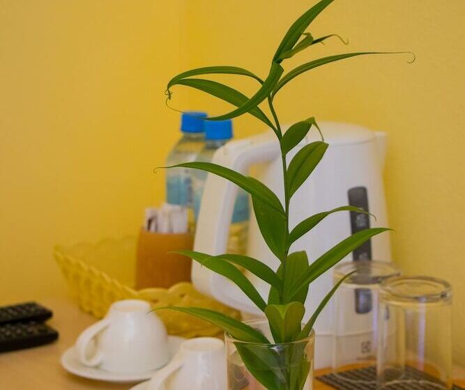 Pension Fanhaa Maldives