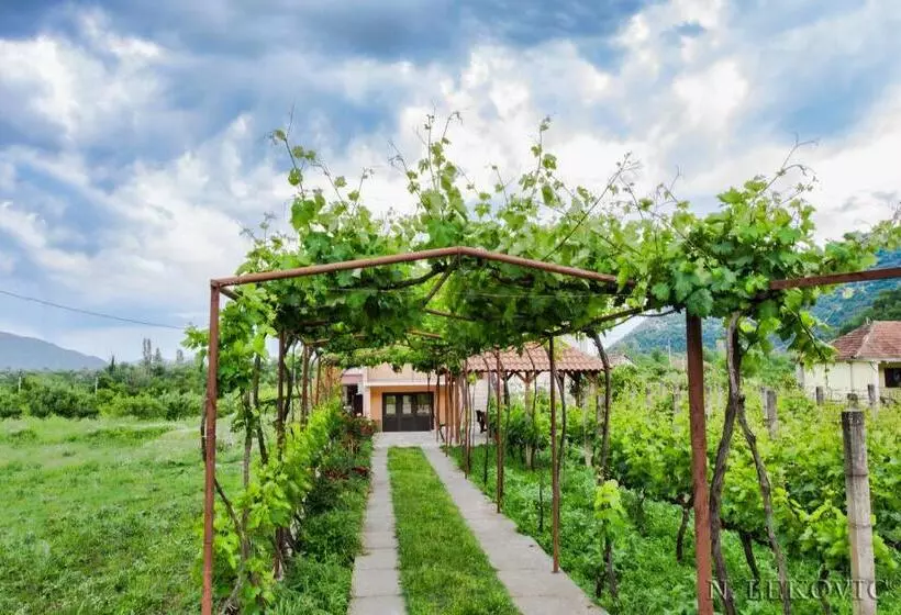 پانسیون Guesthouse Bato