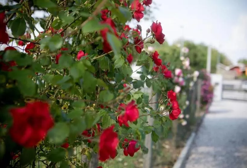 Aamiaismajoitus (B&B) La Casa Di Amedeo