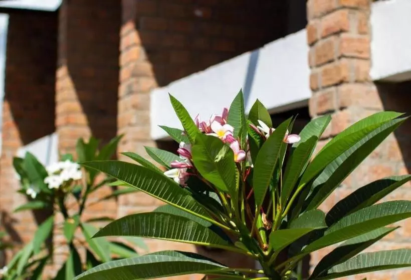 ベッドアンドブレックファースト Jasmimanga Pousada