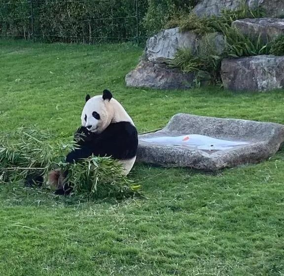 ペンション 和みの宿いろり