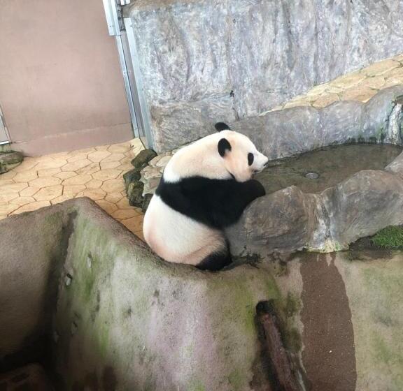 Majatalo 和みの宿いろり