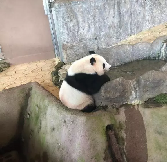 ペンション 和みの宿いろり