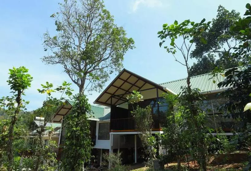 ベッドアンドブレックファースト Coffee And Pepper Plantation Homestay