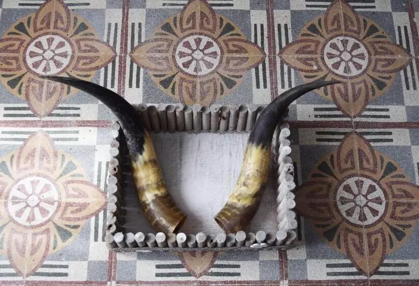 Aamiaismajoitus (B&B) Palazzo D'amaro Historical Residence