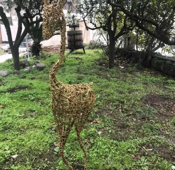 Aamiaismajoitus (B&B) Palazzo D'amaro Historical Residence