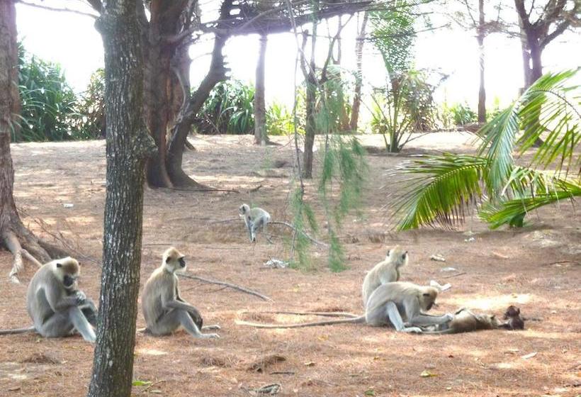 Ypsylon Resort Ostküste