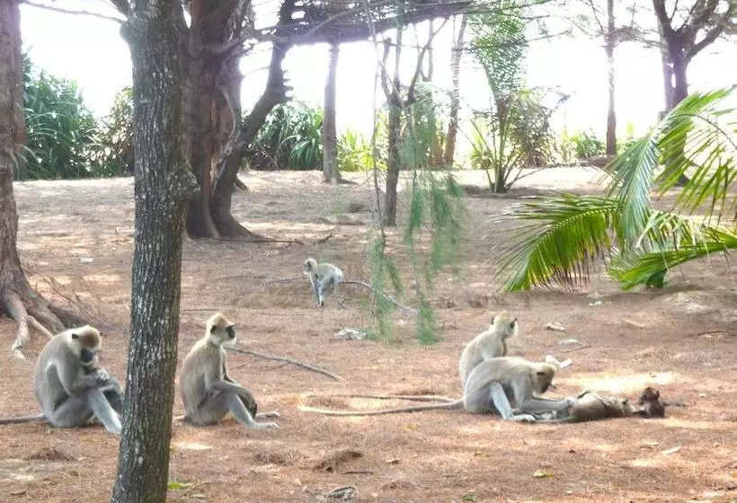 Ypsylon Resort Ostküste