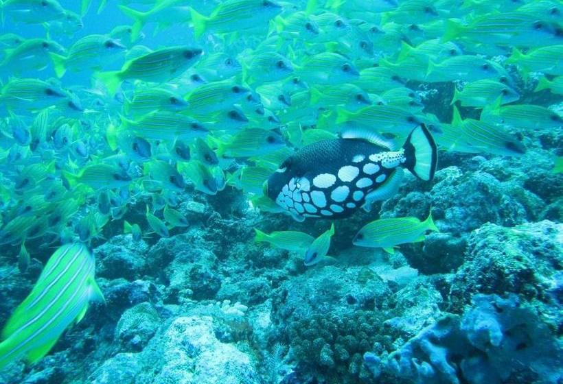 Ypsylon Resort Ostküste