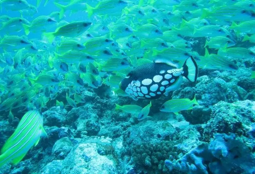 Ypsylon Resort Ostküste