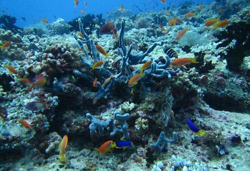 Ypsylon Resort Ostküste