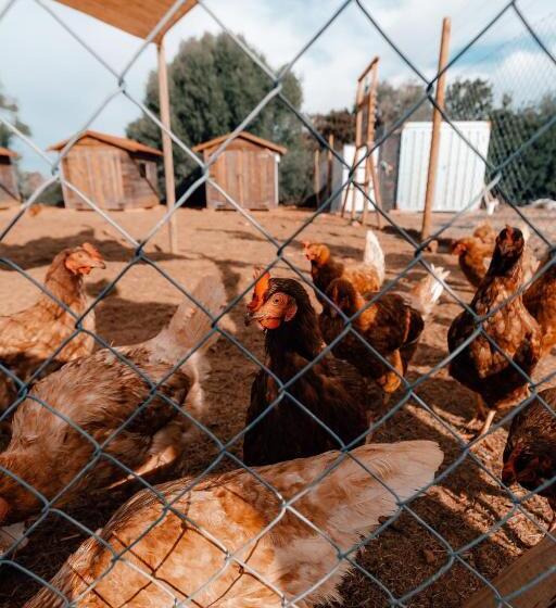 هتل Finca Amapola Agrotourismus