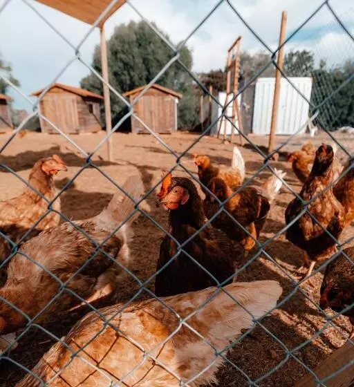 Hotelli Finca Amapola   Agrotourismus