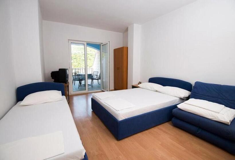 پانسیون Villa Jazina Pavlović