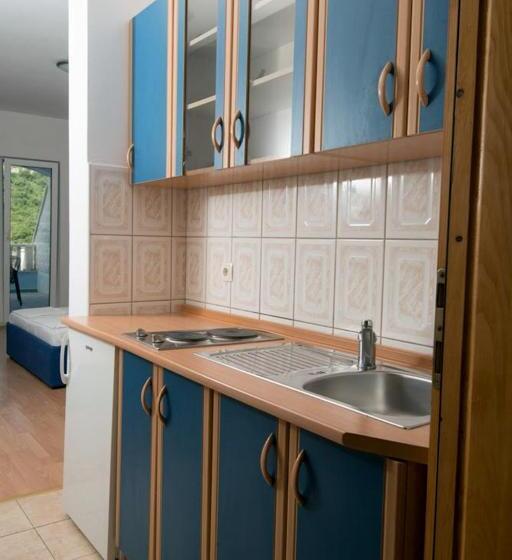 پانسیون Villa Jazina Pavlović