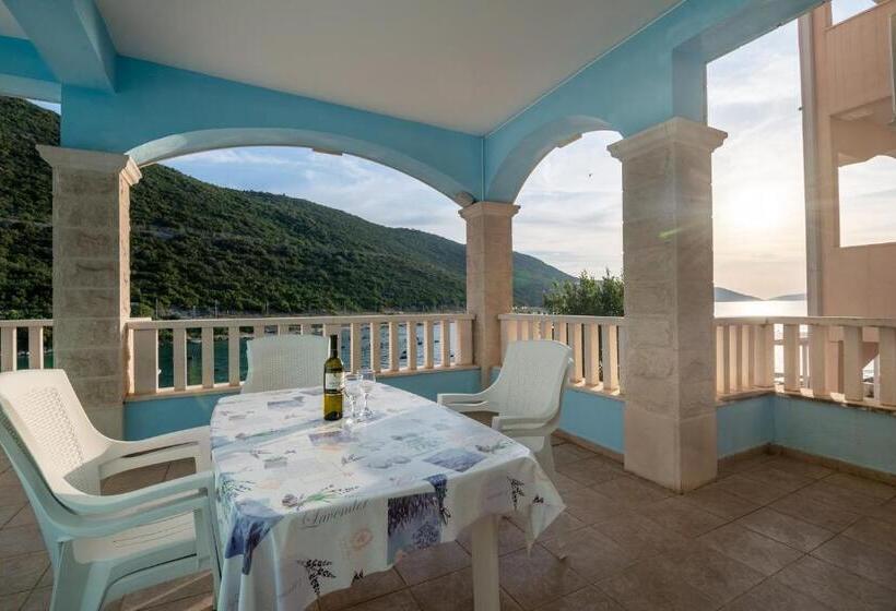 پانسیون Villa Jazina Pavlović