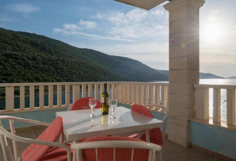 پانسیون Villa Jazina Pavlović