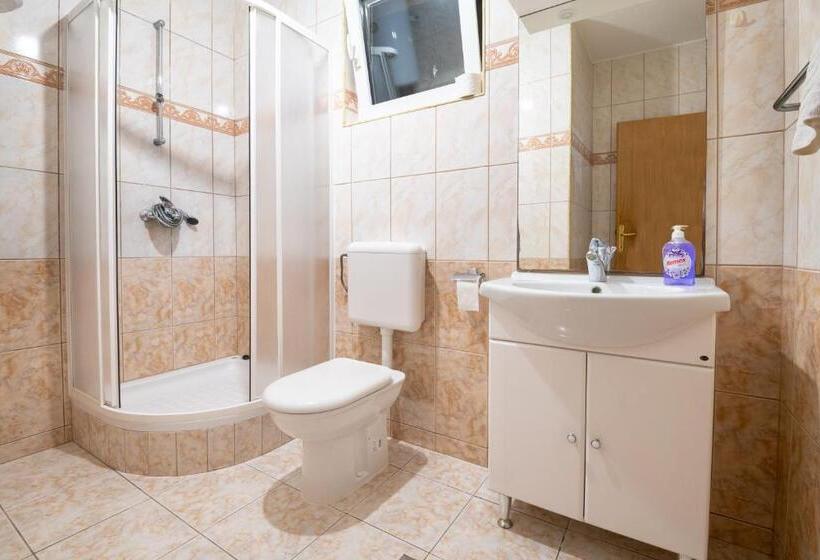 پانسیون Villa Jazina Pavlović