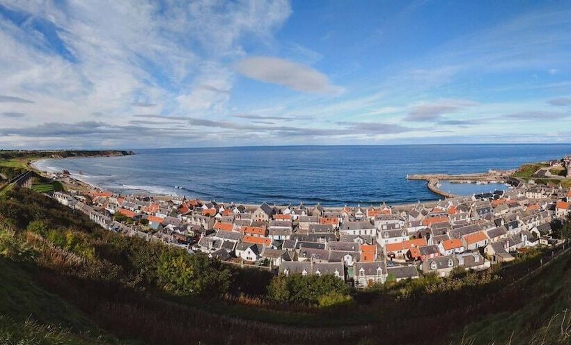 酒店 The Royal Oak