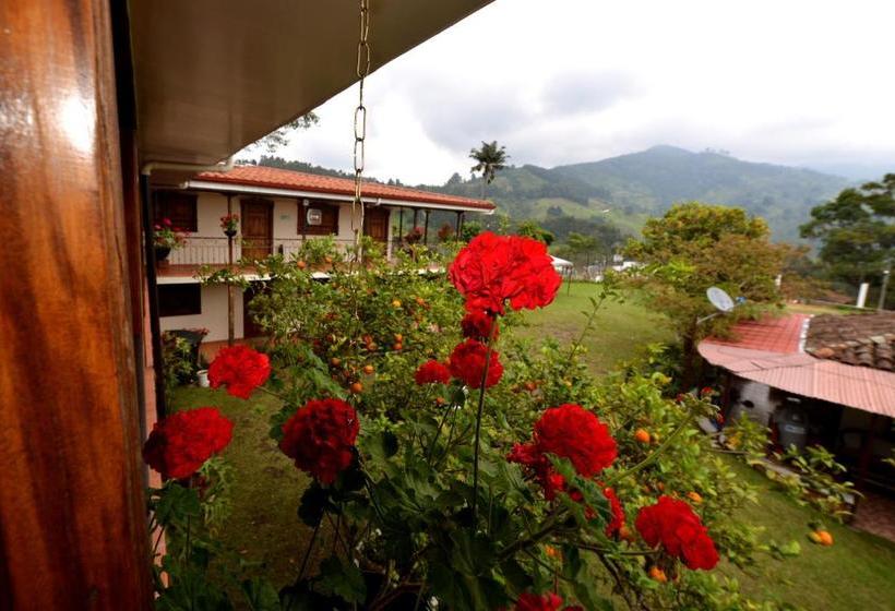 旅馆 Hostal Origen Colonial