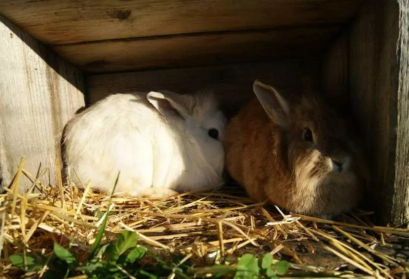 ホテル Paulhof Am Chiemsee