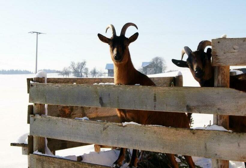 Hotel Paulhof Am Chiemsee